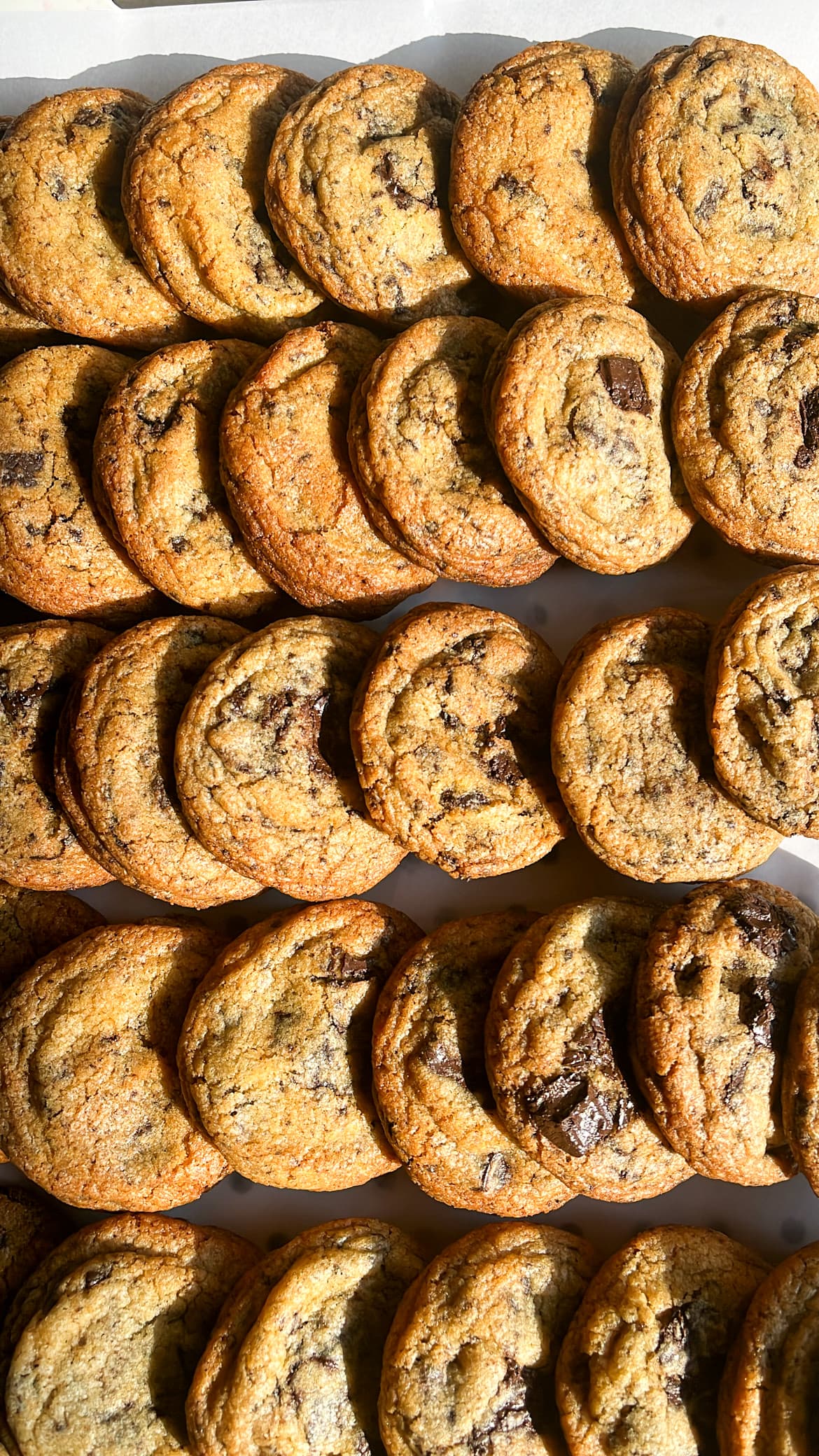 Muskaan Maheshwari's journey with food began in her Nani's kitchen in Jaipur